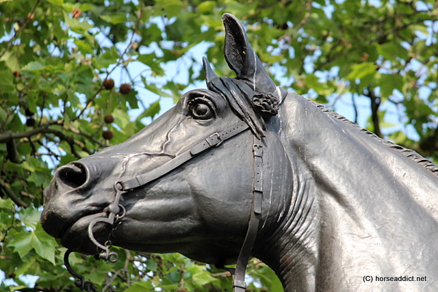 Copenhagen: The Duke of Wellington’s War Horse.