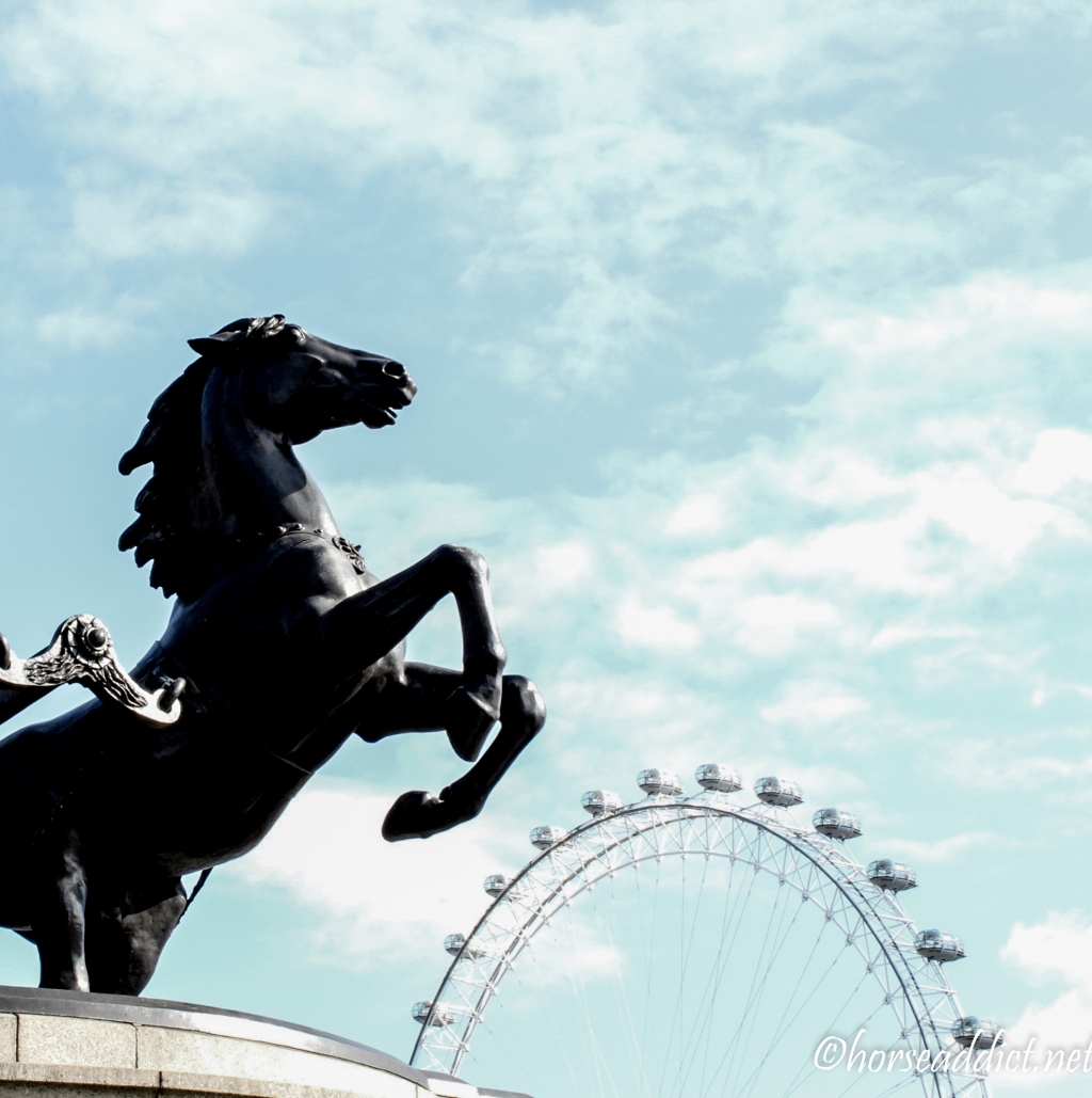 Horse Jumps London Eye!