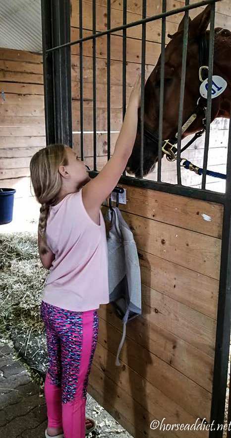 Photo of a horse in a stall with a young girl reaching up to pat him on his nose.