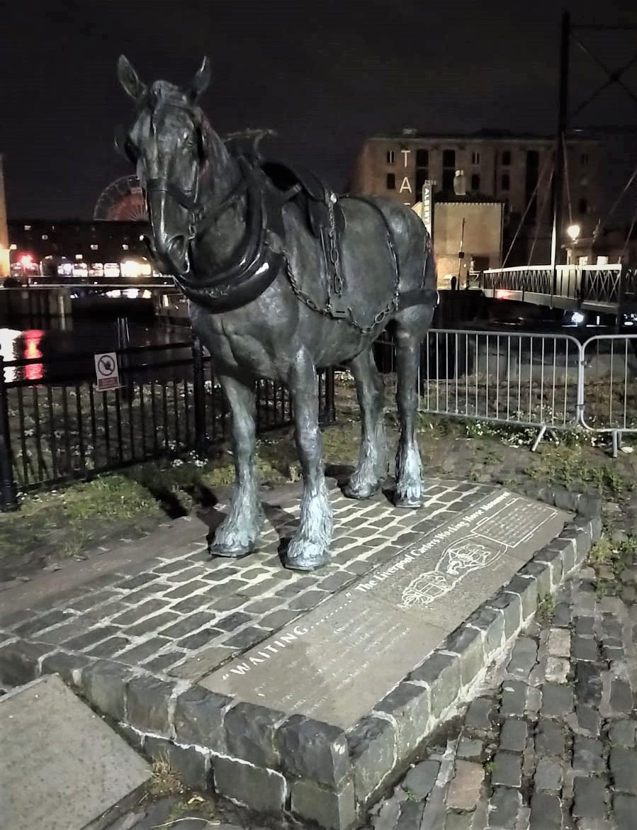 The Liverpool Working Horse.(Repost)