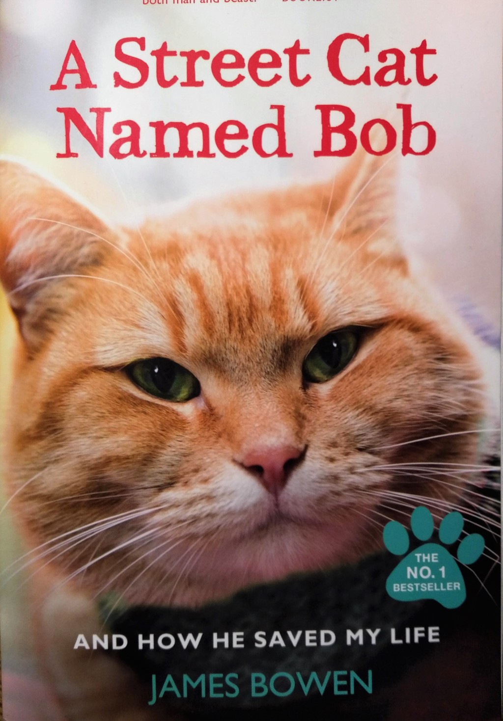 Book Review: A Street Cat Named Bob