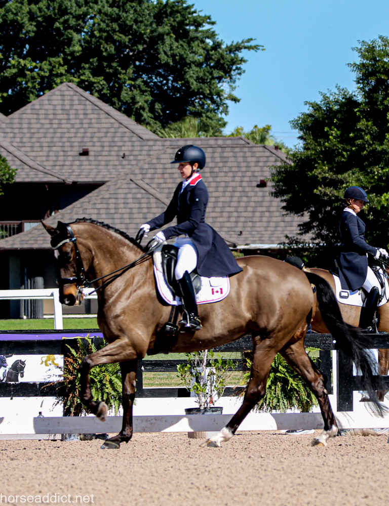 Belinda Trussell : Horses, Competitions and Time Management!