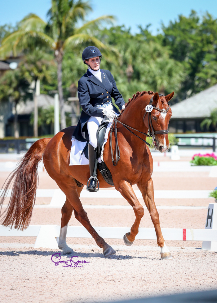 Photo of 
horse in canter in a dressage test. 